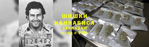 сатива Алексеевка