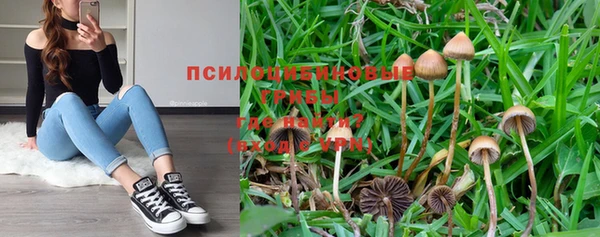МДПВ Переславль-Залесский