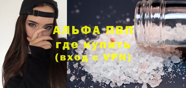 сатива Алексеевка